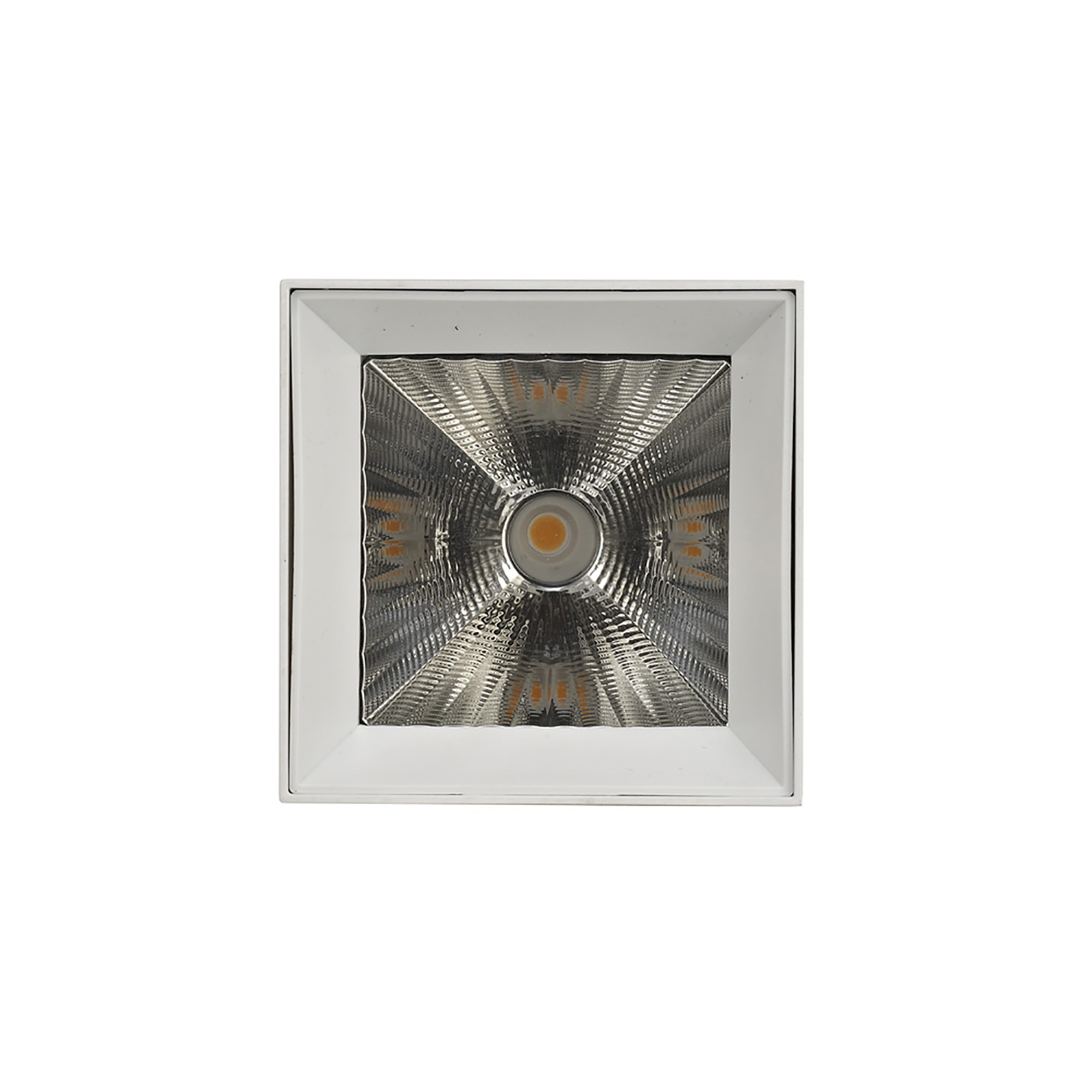 Eox 30 Indoor Surface Mounted Luminaires Dlux Unidirectional Surface Mount Eox 30 Indoor Surface Mounted Luminaires Dlux Unidirectional Surface Mount